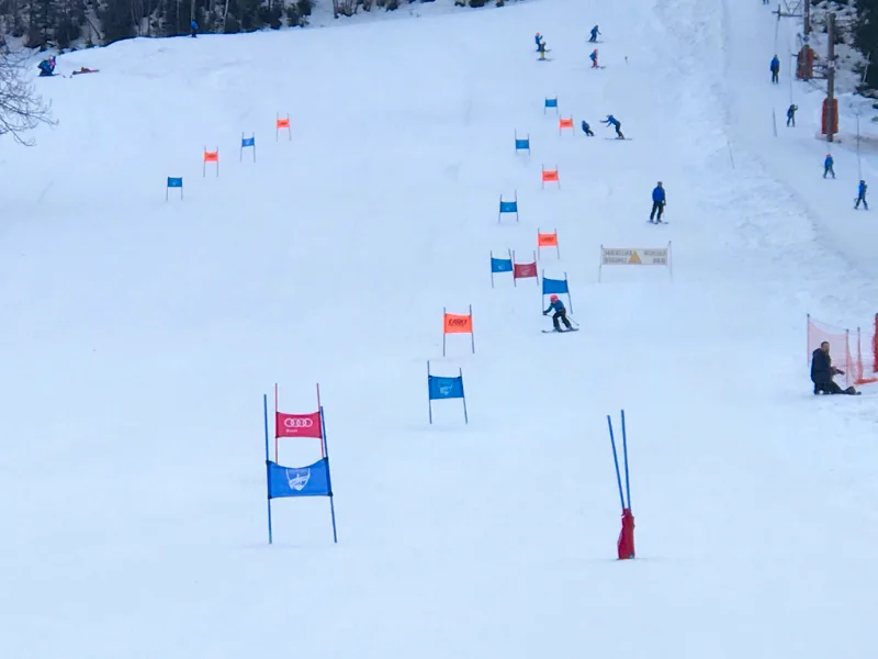 Stage ski alpin à Argentière